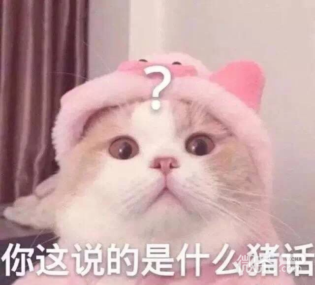 下次聊微信恶搞傻屌群聊杂图斗图表情包