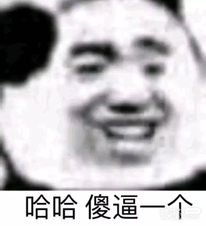 下次聊微信恶搞傻屌群聊杂图斗图表情包