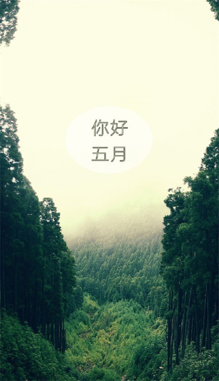 唯美个性小清新的微信聊天背景图片下载