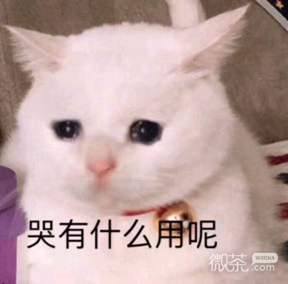 下次聊微信恶搞群聊斗图表情包