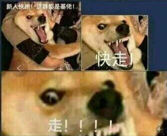 全是基佬微信恶搞聊天斗图表情包