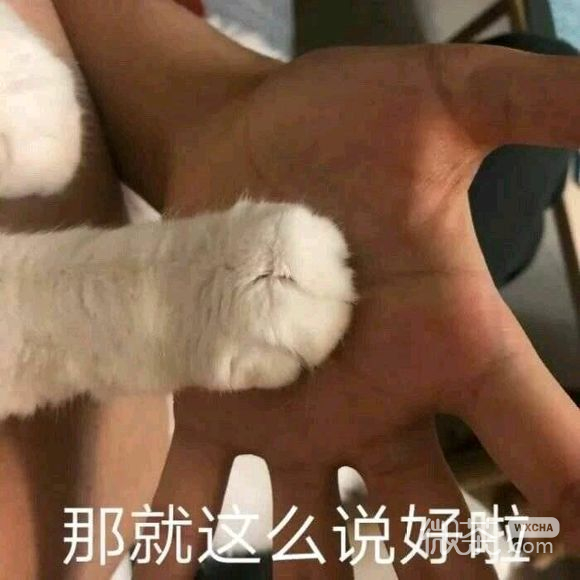 下次聊微信恶搞群聊斗图表情包