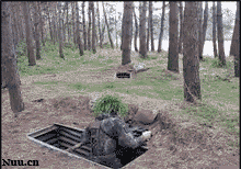 微信爆笑动图表情包