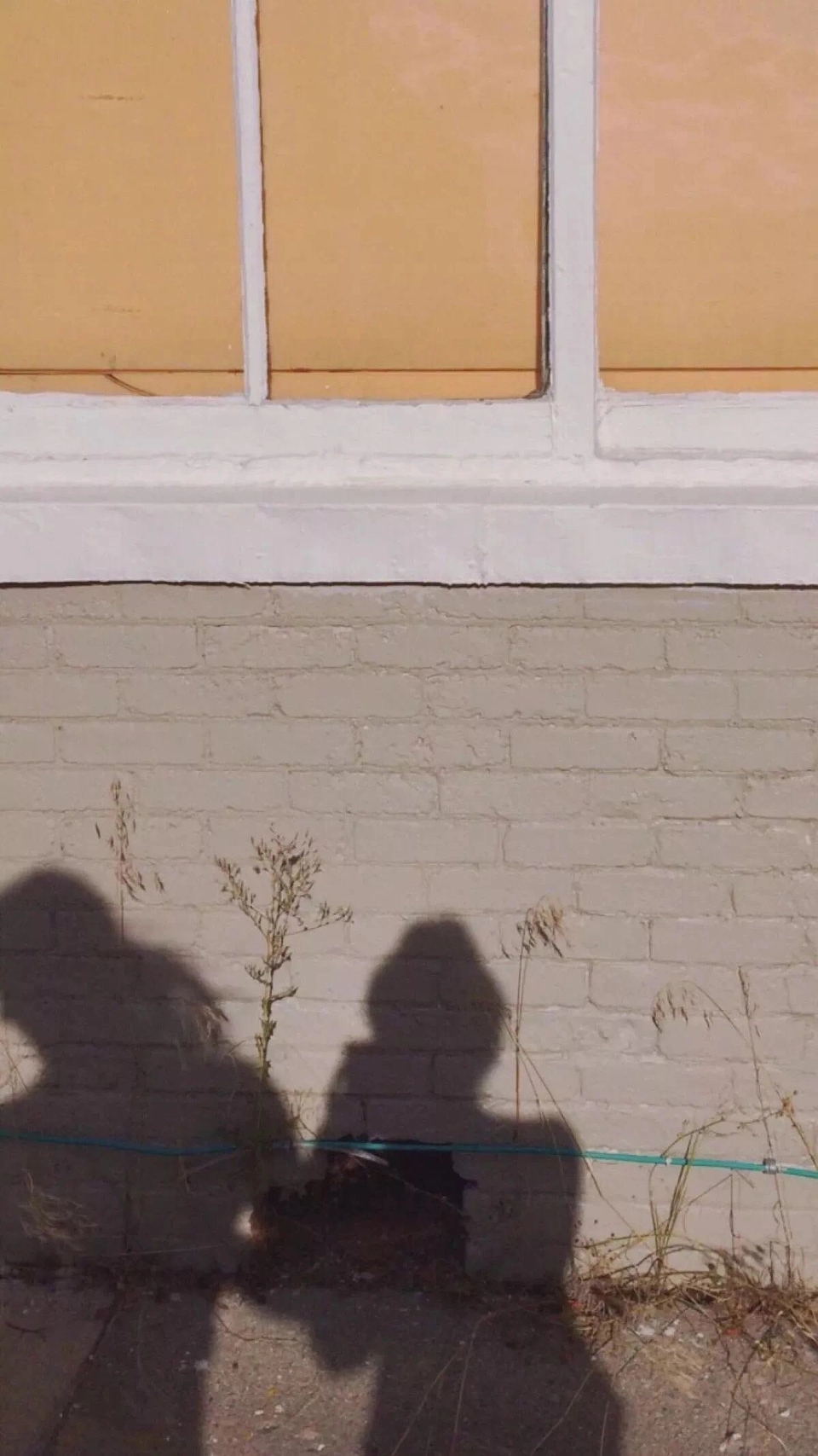 梦幻好看唯美清新好看手机壁纸