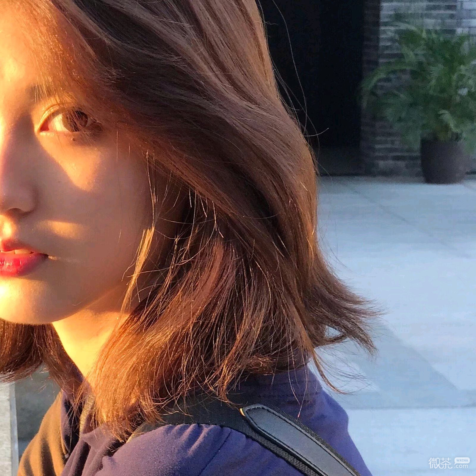 微信清新可爱女头