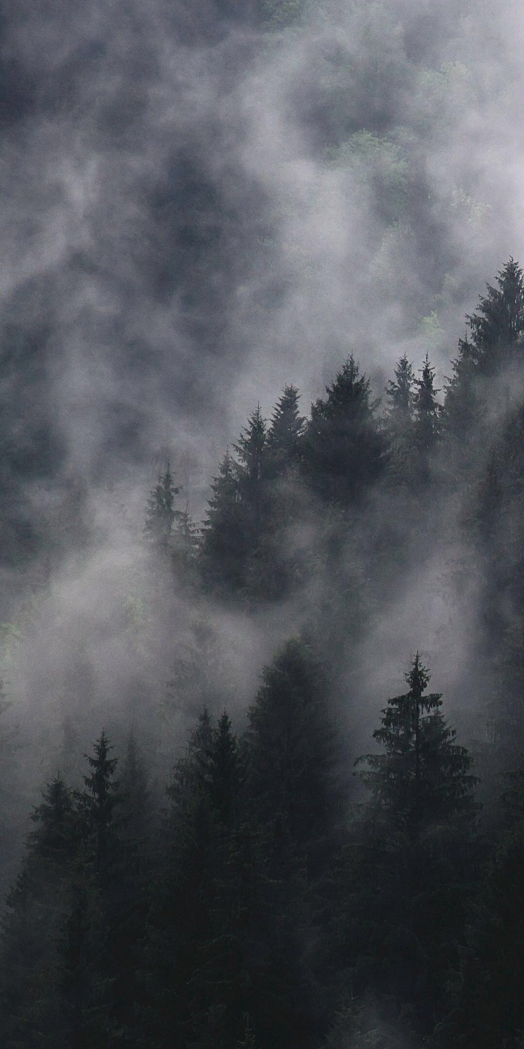 梦幻好看唯美清新好看手机壁纸