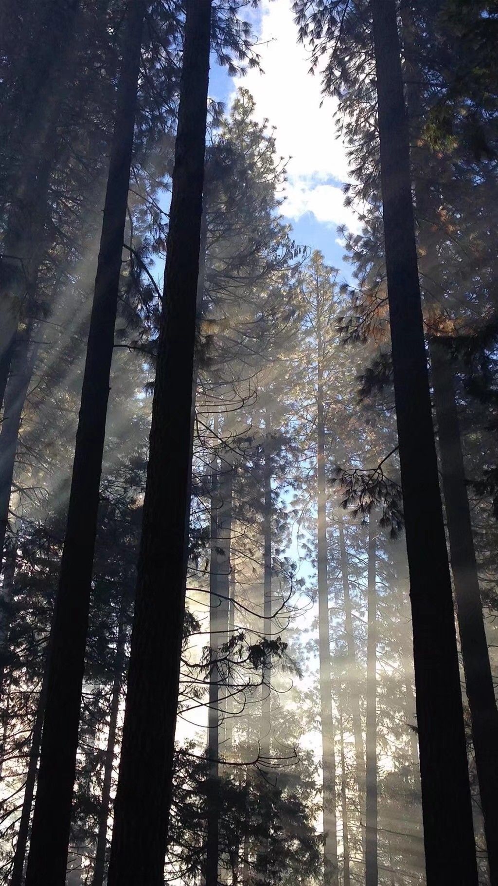 梦幻好看唯美清新好看手机壁纸