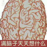 全是基佬微信恶搞聊天斗图表情包