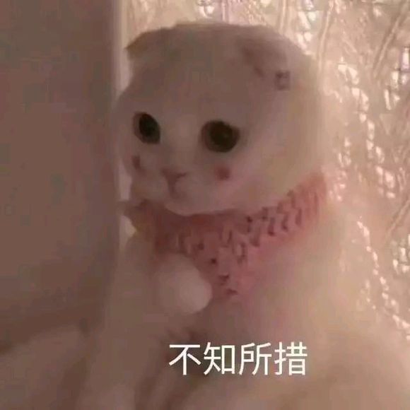 微信近期斗图恶搞表情包2019/5/27(二)