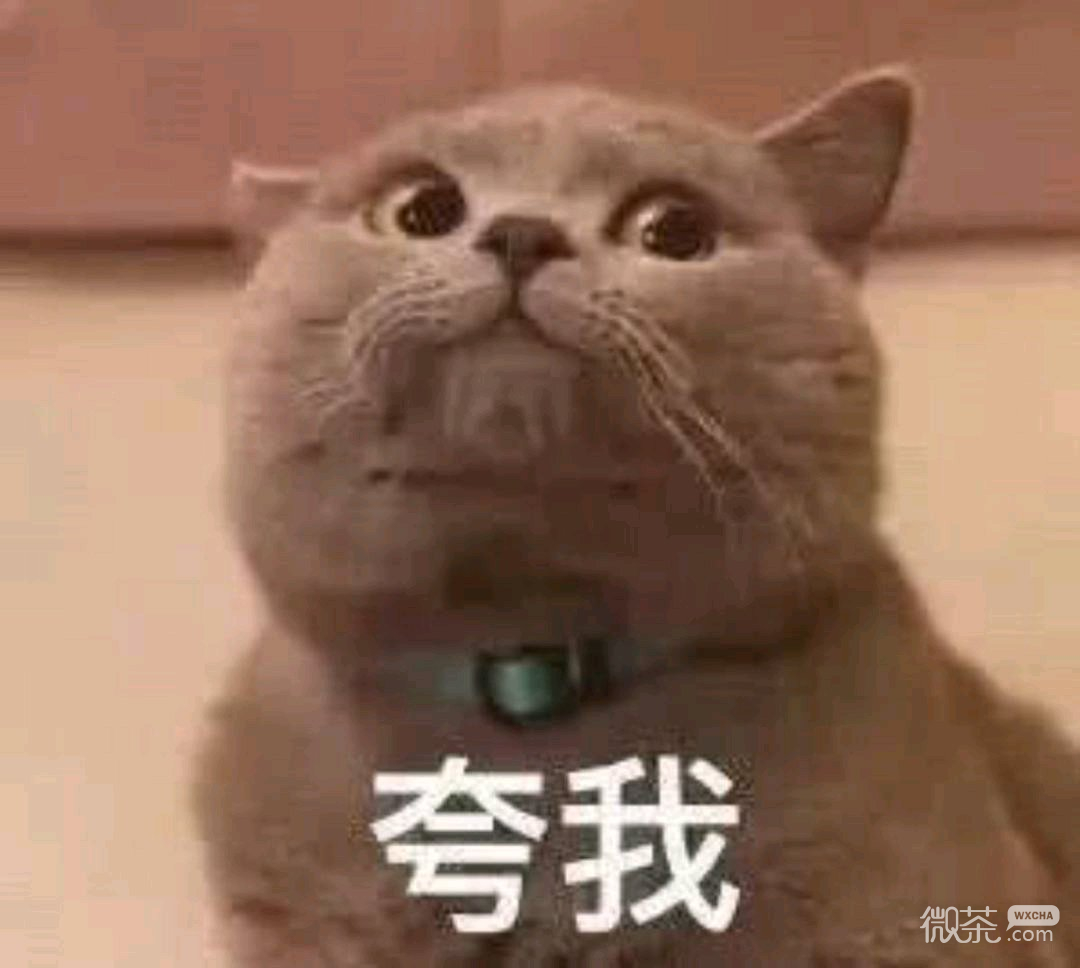 微信个性幽默群聊斗图表情包