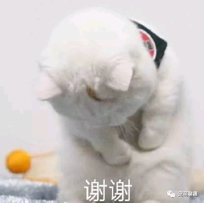 微信近期斗图恶搞表情包2019/5/27(二)