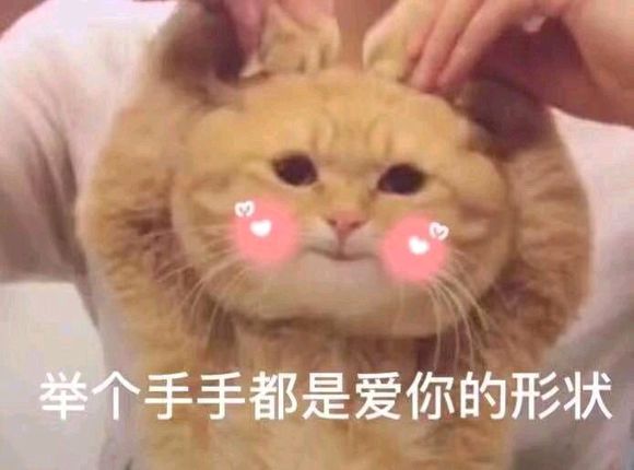 微信近期斗图恶搞表情包2019/5/27(二)