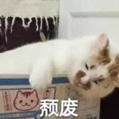 微信近期斗图恶搞表情包2019/5/27(二)