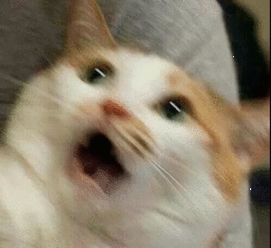 微信近期斗图恶搞表情包2019/5/27(二)