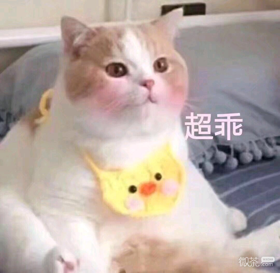 微信个性幽默群聊斗图表情包