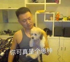 微信近期斗图恶搞表情包2019/5/27(二)