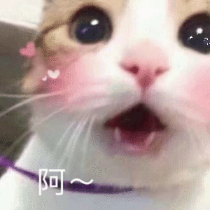 微信近期斗图恶搞表情包2019/5/27(二)