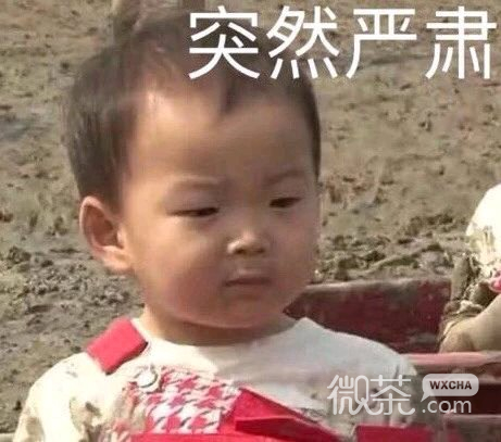微信个性幽默群聊斗图表情包