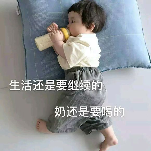 微信近期斗图恶搞表情包2019/5/27(二)