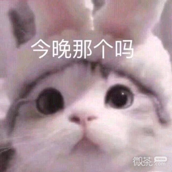 微信个性幽默群聊斗图表情包