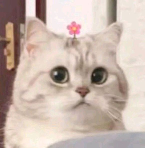 微信近期斗图恶搞表情包2019/5/27(二)