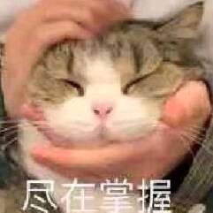 微信近期斗图恶搞表情包2019/5/27(二)