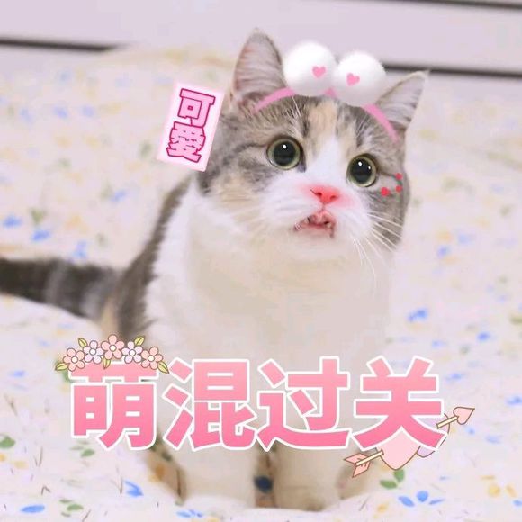 可爱调皮喵星人表情包