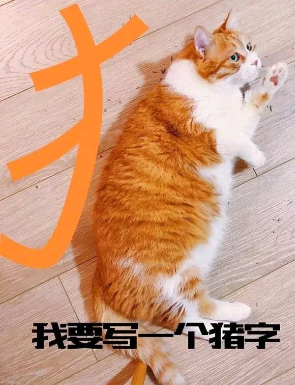 可爱调皮喵星人表情包