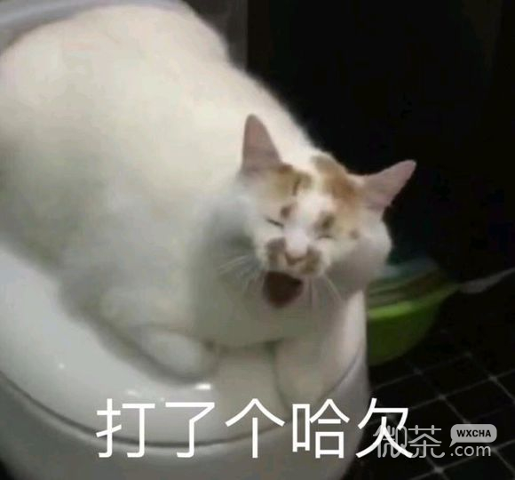 可爱调皮喵星人表情包