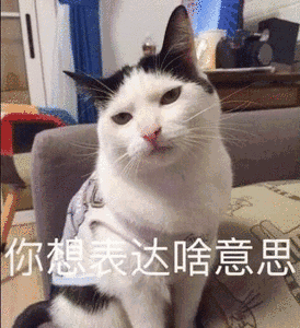 可爱调皮喵星人表情包