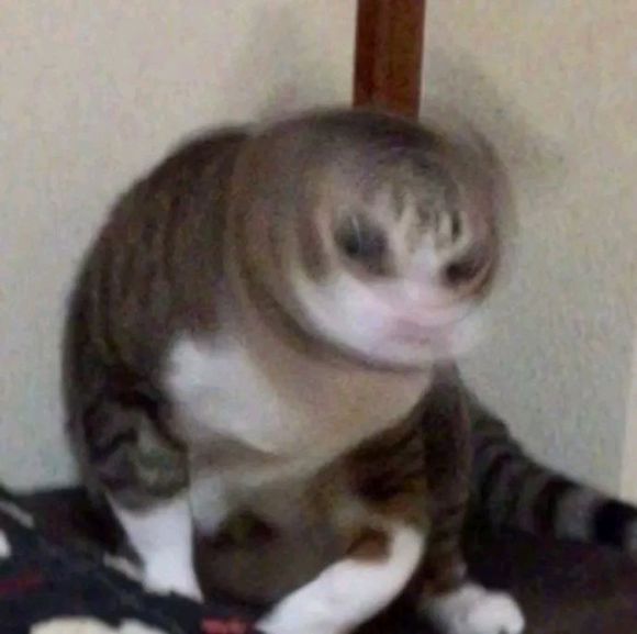 可爱调皮喵星人表情包