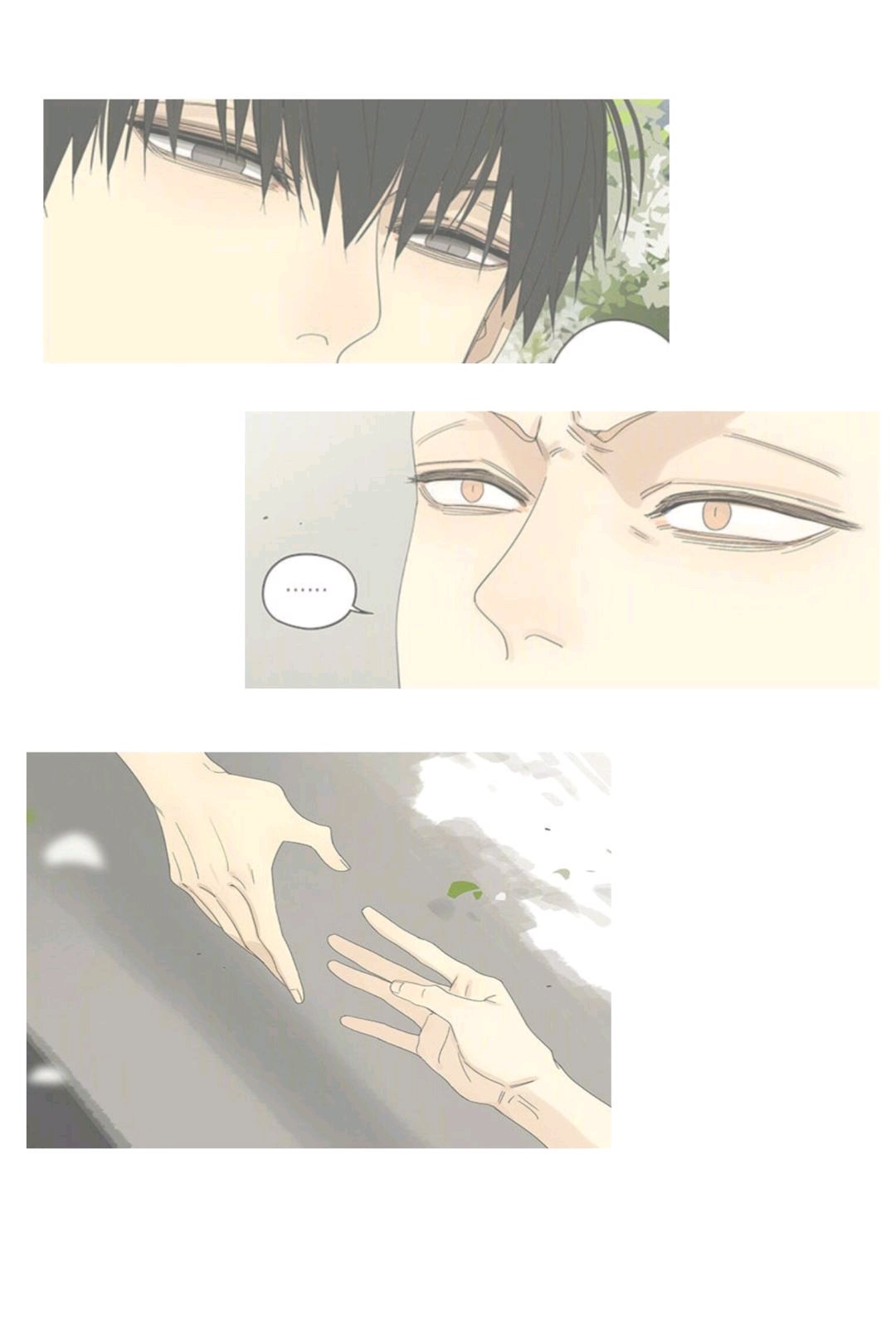 风景静物简约手机壁纸