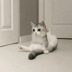 可爱调皮喵星人表情包