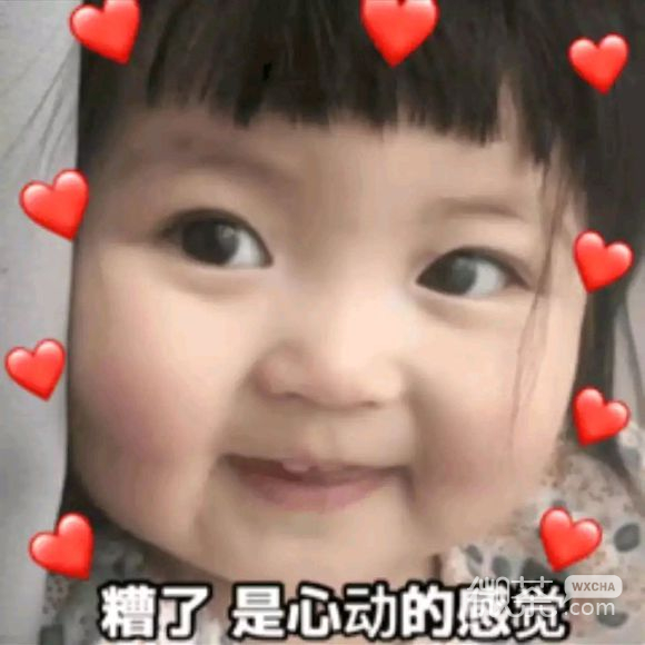 微信近期斗图恶搞表情包2019/5/28（二）