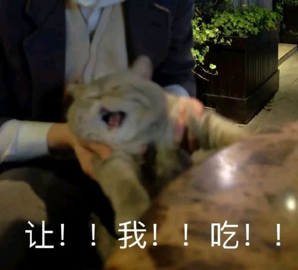 可爱调皮喵星人表情包