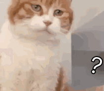 可爱调皮喵星人表情包