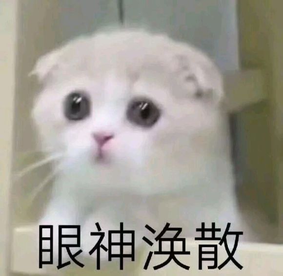 可爱调皮喵星人表情包