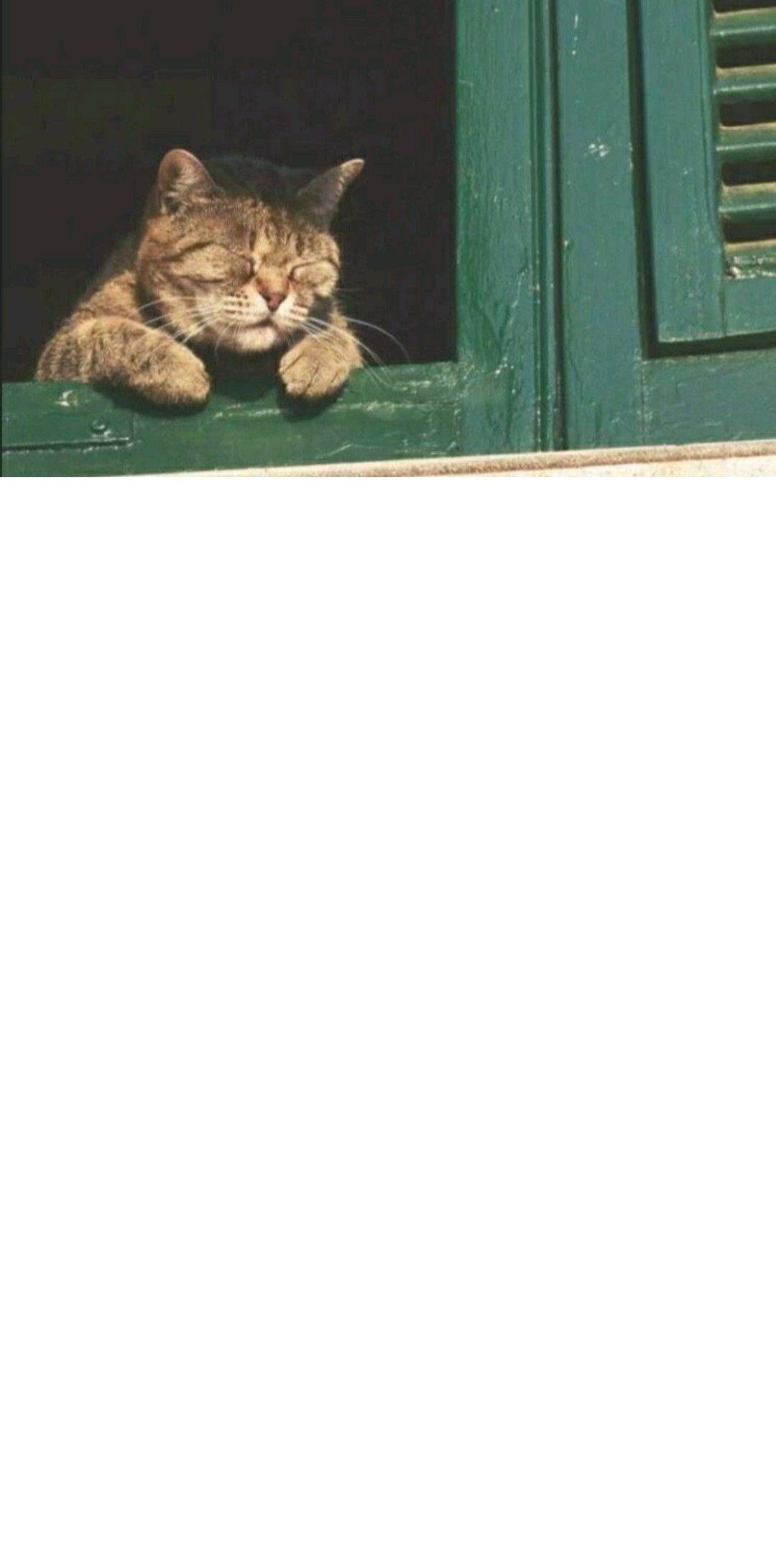 风景静物简约手机壁纸