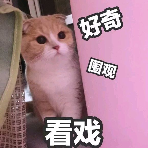 可爱调皮喵星人表情包