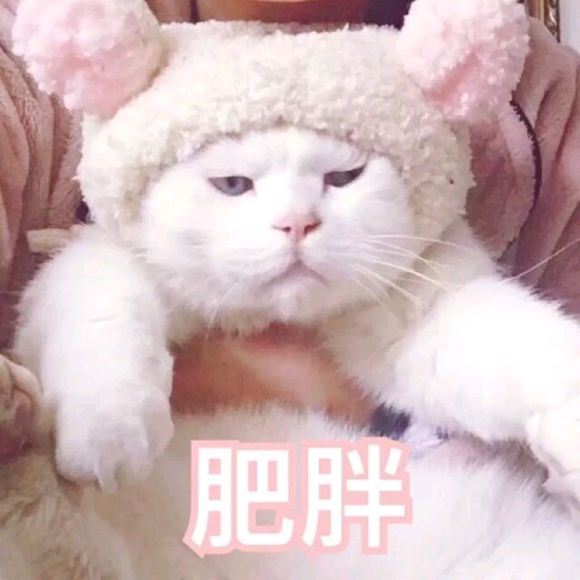 可爱调皮喵星人表情包