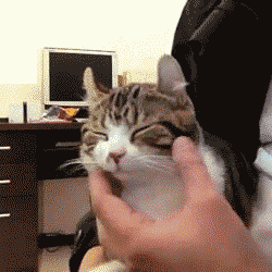 可爱调皮喵星人表情包