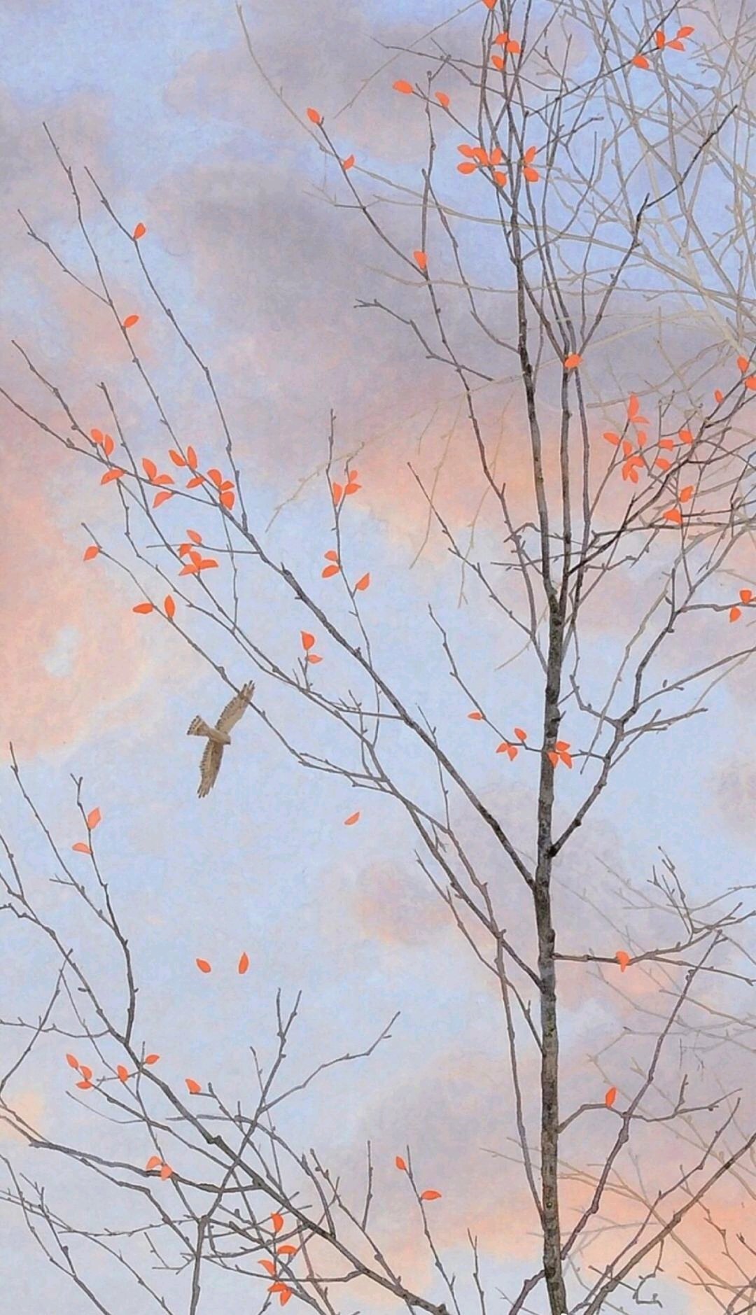 风景静物简约手机壁纸