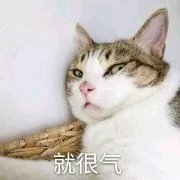 可爱调皮喵星人表情包