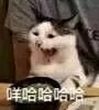 可爱调皮喵星人表情包