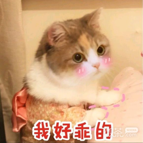 可爱调皮喵星人表情包