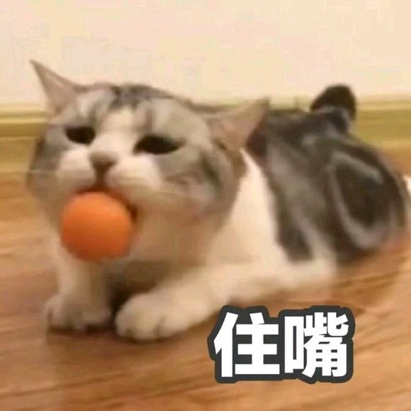 可爱调皮喵星人表情包