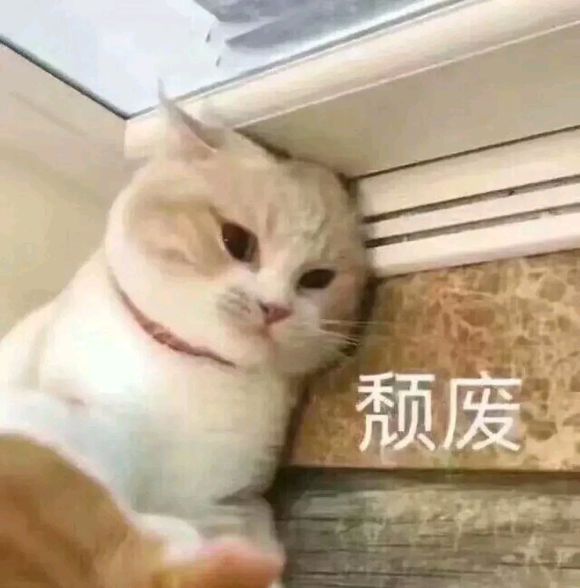 可爱调皮喵星人表情包