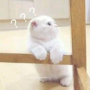 可爱调皮喵星人表情包