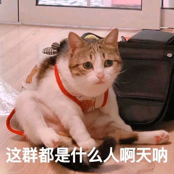 可爱调皮喵星人表情包