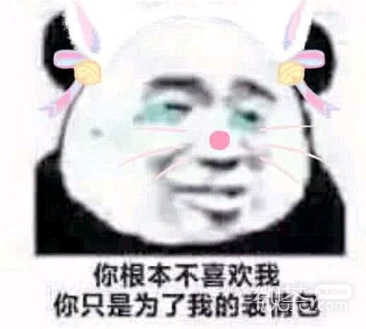 微信近期斗图恶搞表情包2019/5/28（二）